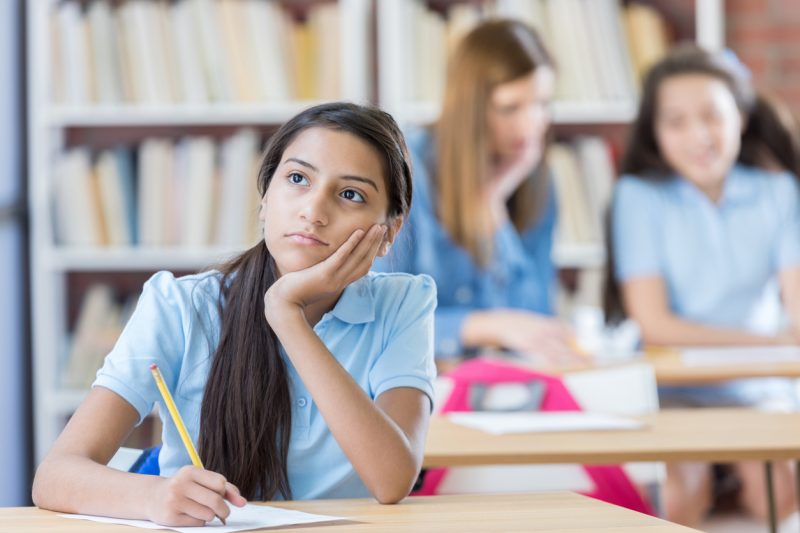 Essay helper students